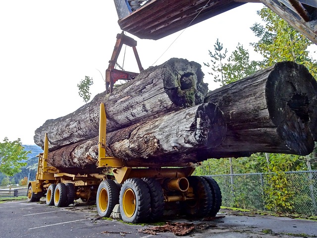 lumber-1713722_640